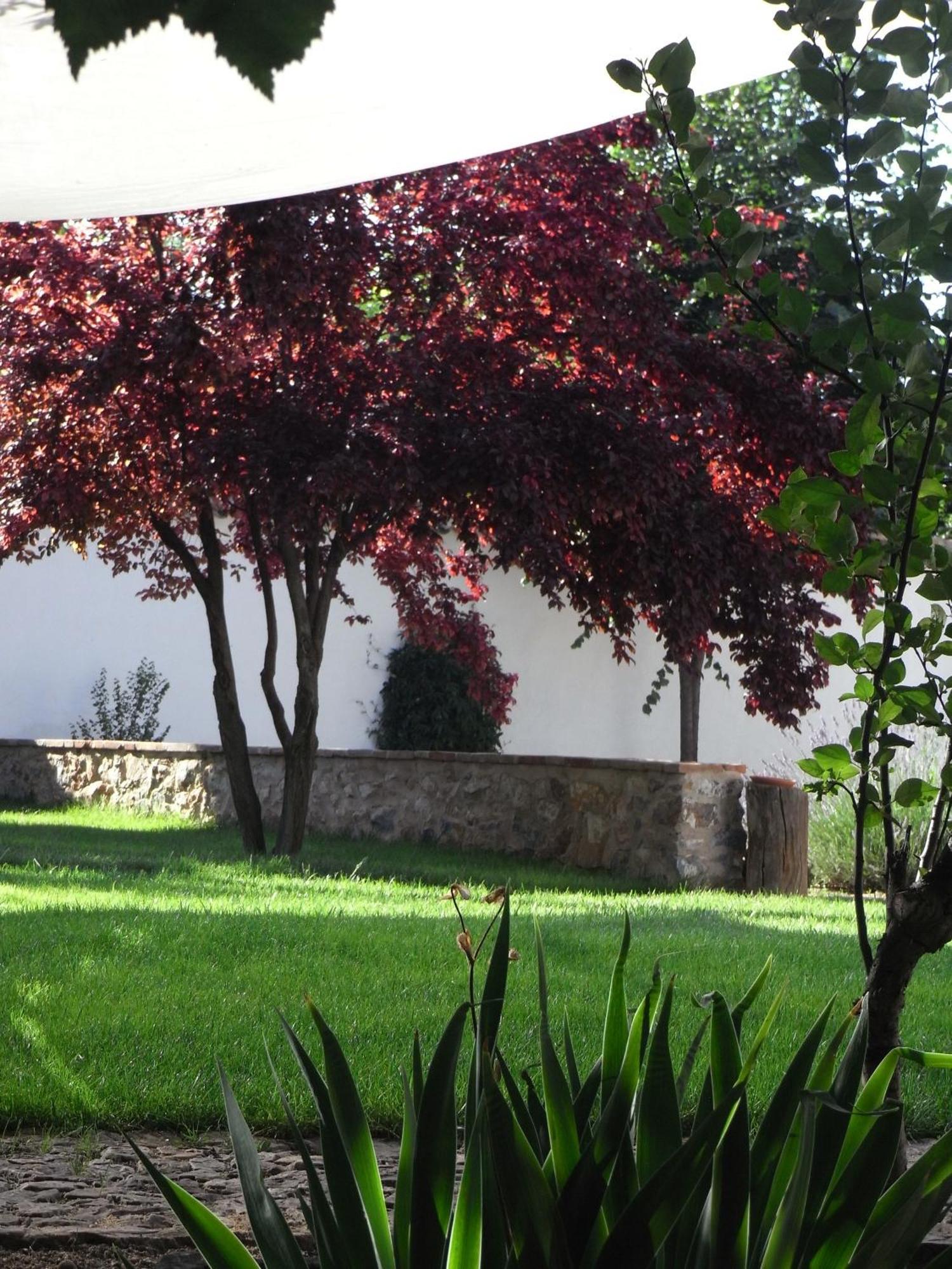 Casa Rural La Alameda 마드리데호스 외부 사진