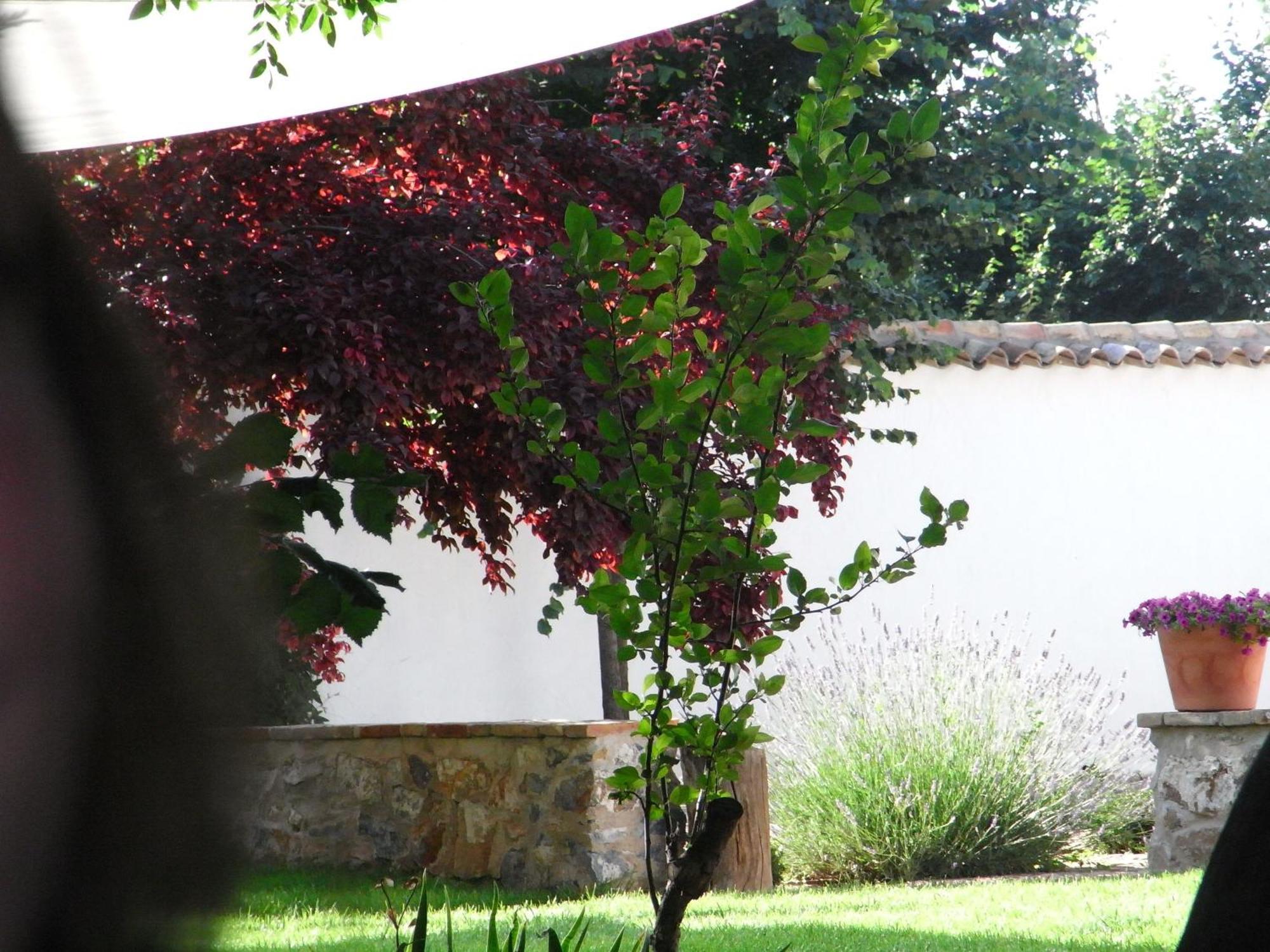 Casa Rural La Alameda 마드리데호스 외부 사진